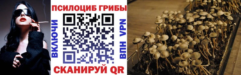 Галлюциногенные грибы Cubensis  Купить где  Электросталь 